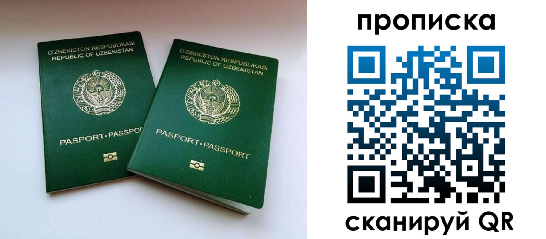 прописка поиск в Куровском